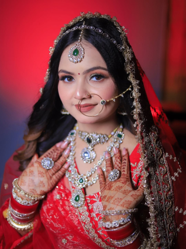 NEELESH KUMAR (NEELU) Portfolio